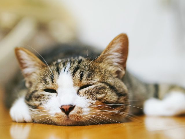 床暖房の種類について